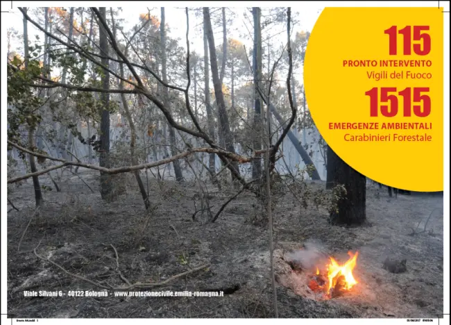 Campagna AIB 2024 - Attivazione fase attenzione per incendi boschivi